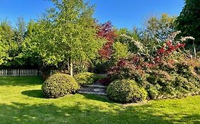 The Conifers Studio Apartment With Private Garden